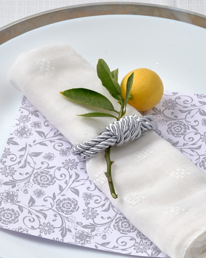 חבק קשר חובל - כסף