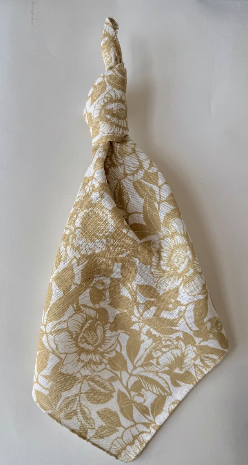 מפיות פיוני - לאטה